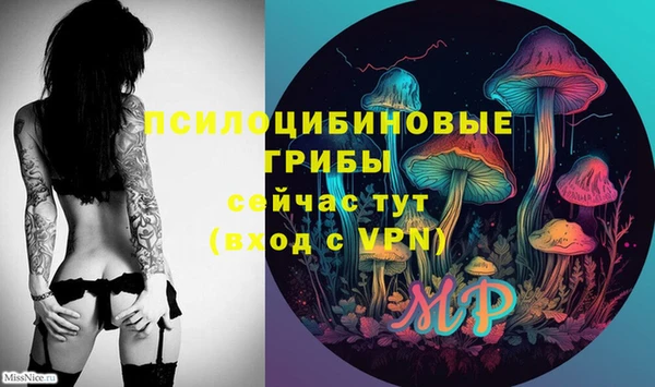 прущие крисы Алексеевка