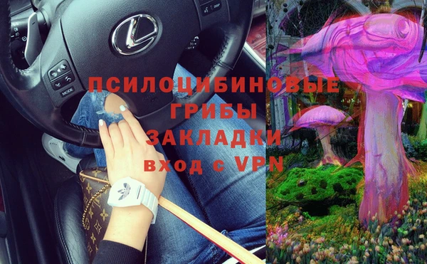 прущие крисы Алексеевка